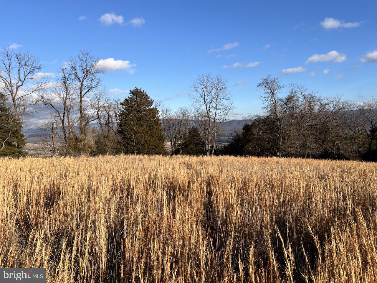 38.43 Acres Howard Sions Rd Property Photo 3