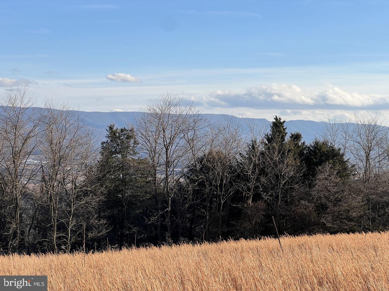 38.43 Acres Howard Sions Rd Property Photo 8