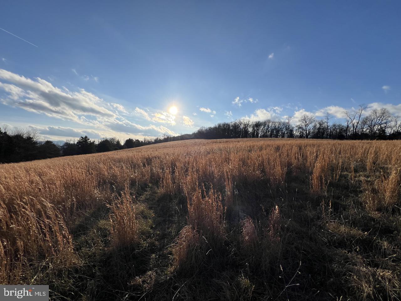 38.43 Acres Howard Sions Rd Property Photo 10