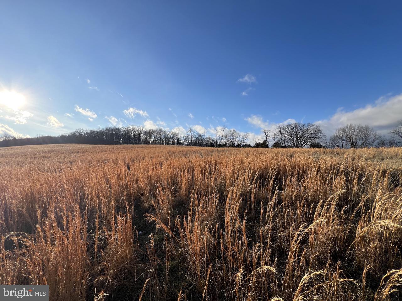 38.43 Acres Howard Sions Rd Property Photo 12