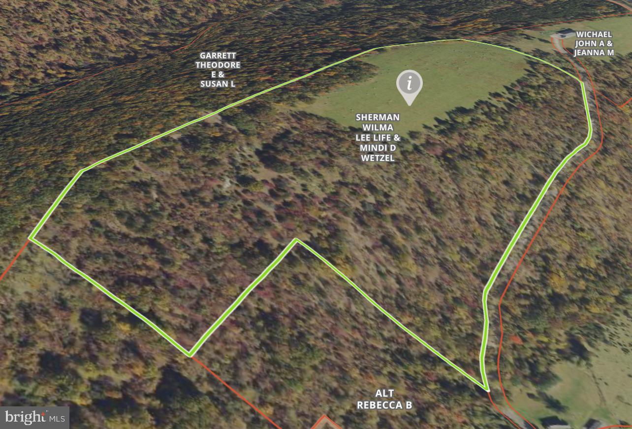 38.43 Acres Howard Sions Rd Property Photo 13