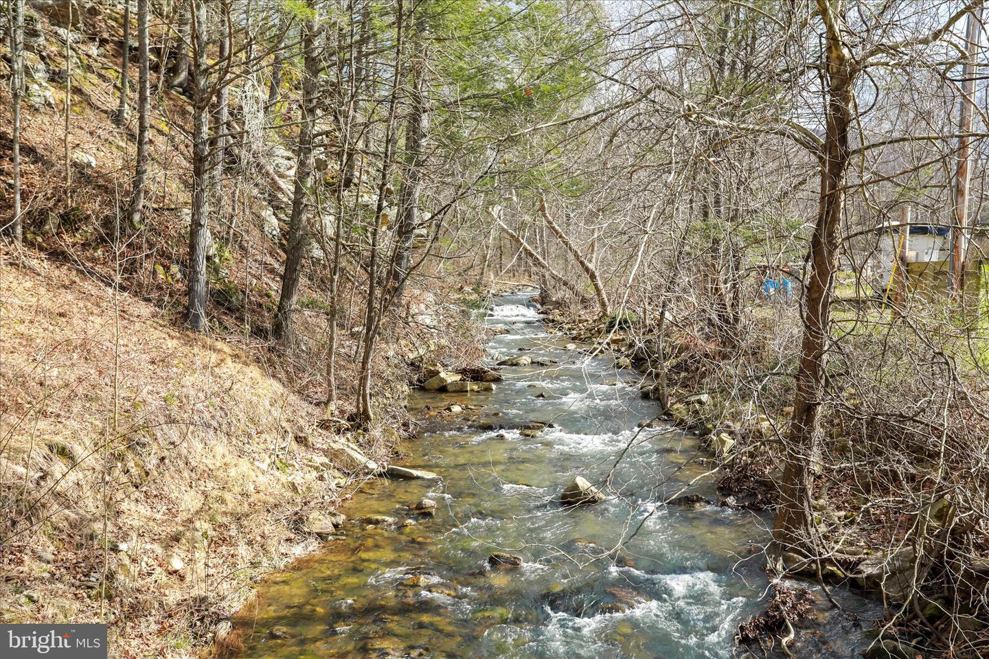 3699 Waites Run Rd Property Photo 3