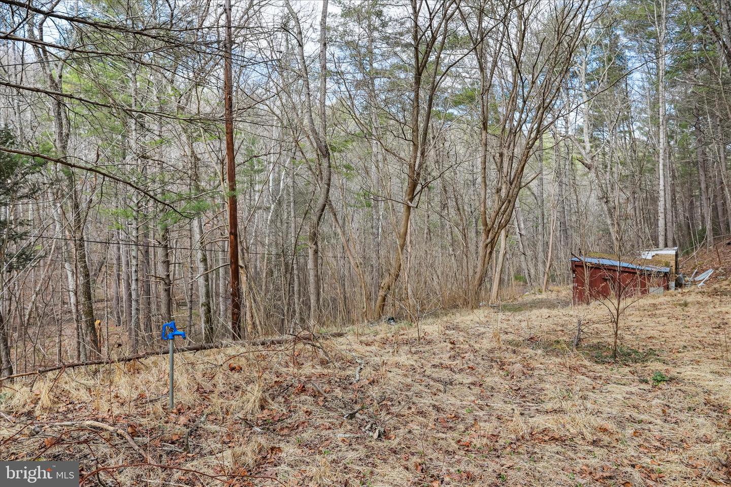 3699 Waites Run Rd Property Photo 19