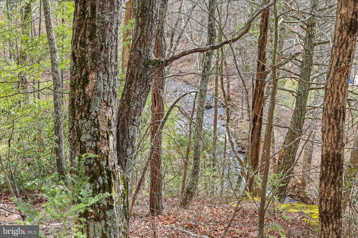3699 Waites Run Rd Property Photo 20