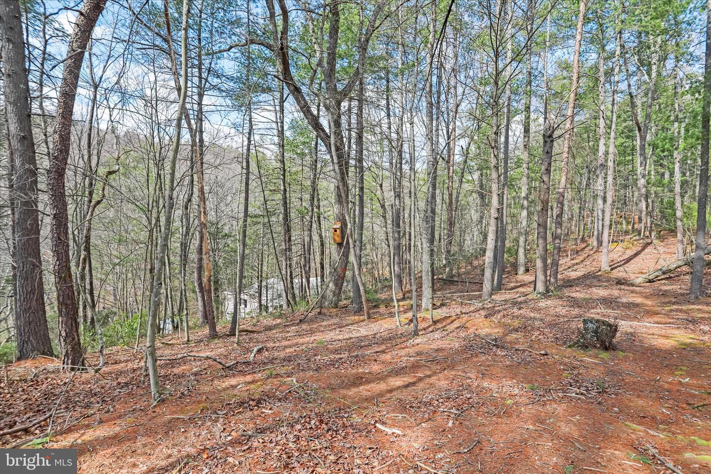 3699 Waites Run Rd Property Photo 21
