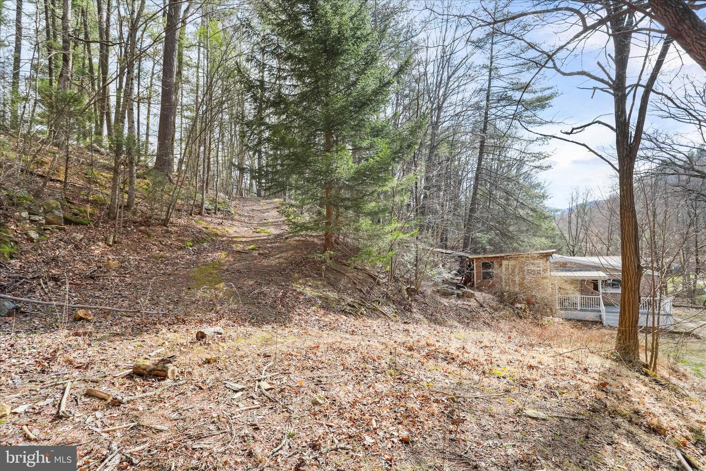 3699 Waites Run Rd Property Photo 24