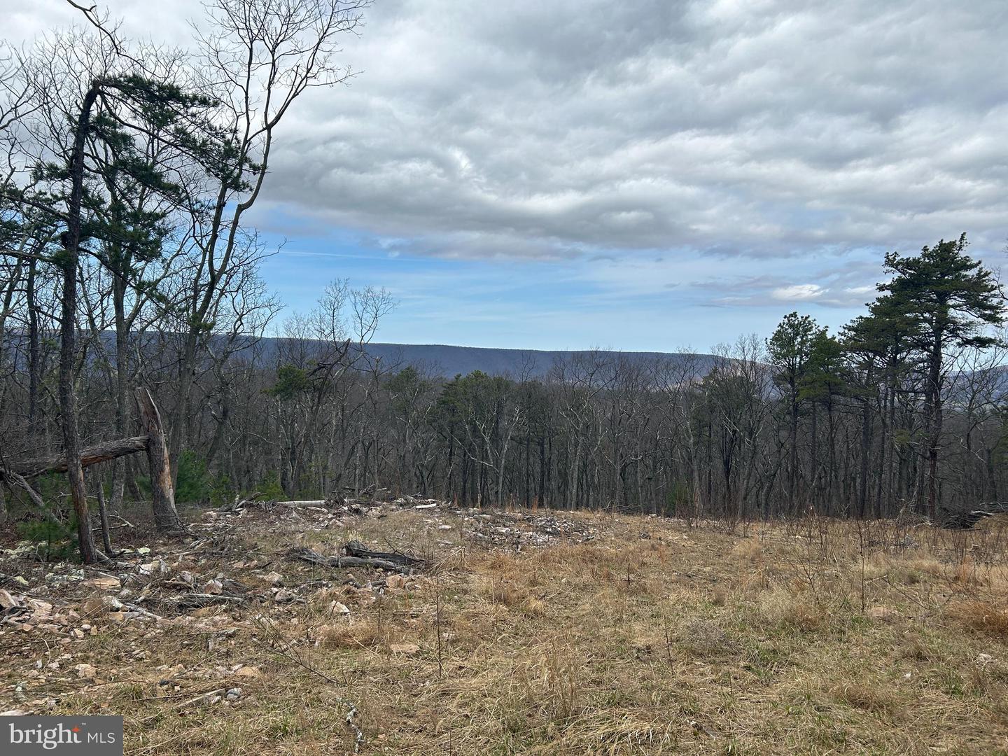 121 Scotch Pine Ln Property Photo 2