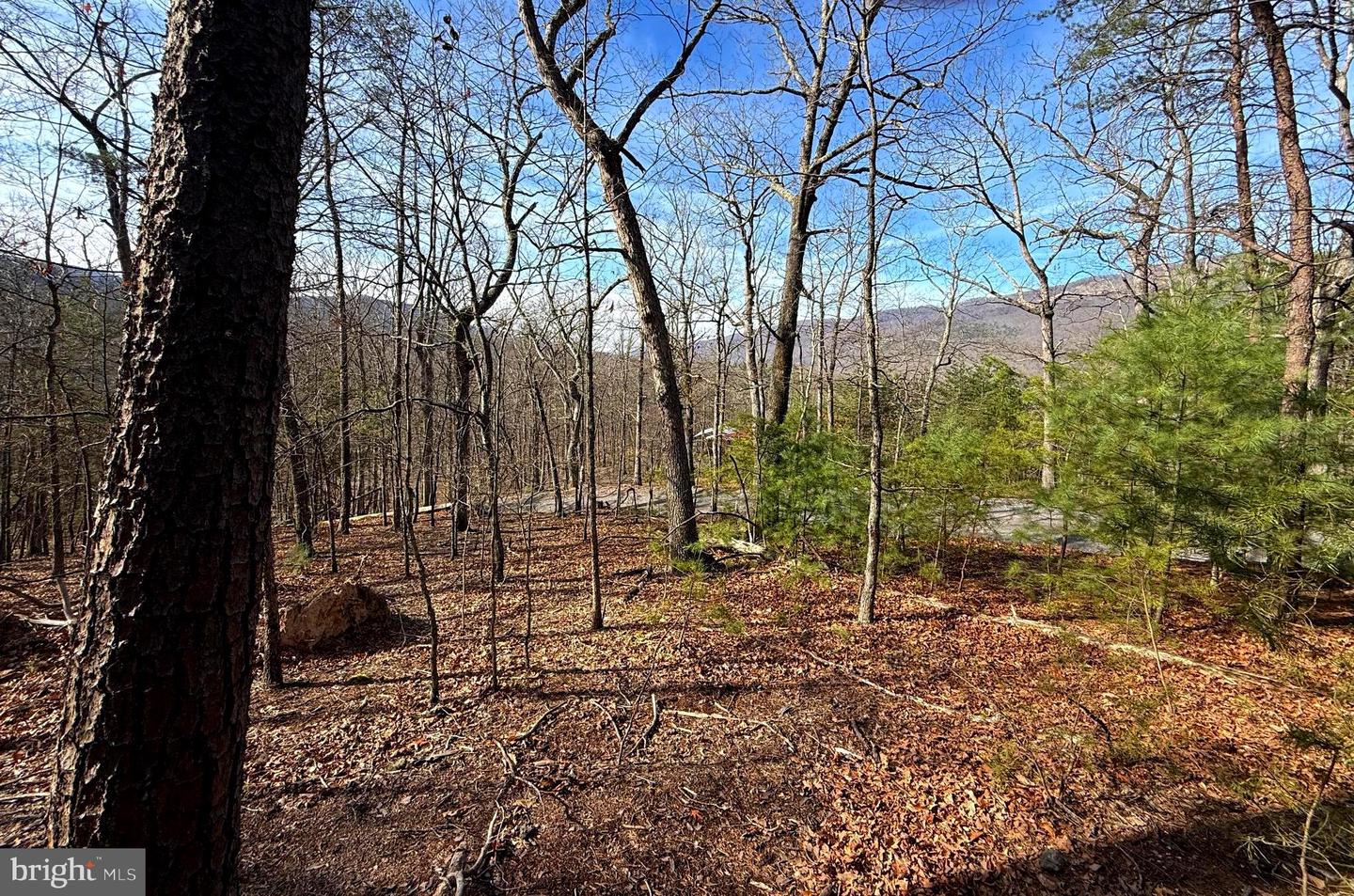 6 Ac Mountain Acres Loop Property Photo 1