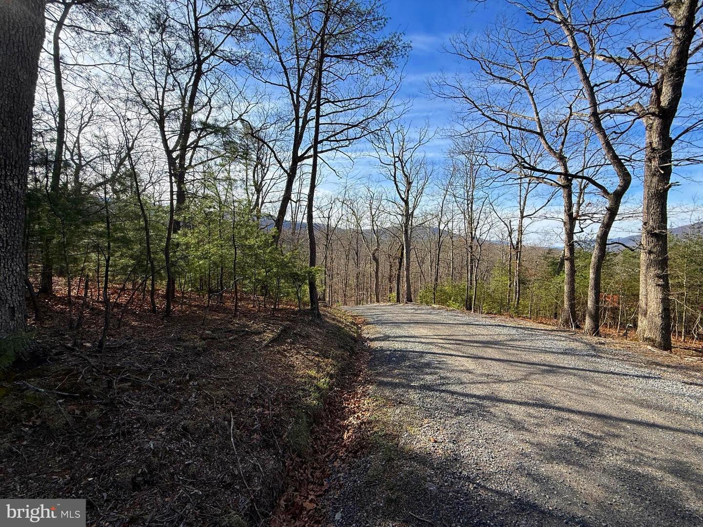 6 Ac Mountain Acres Loop Property Photo 2