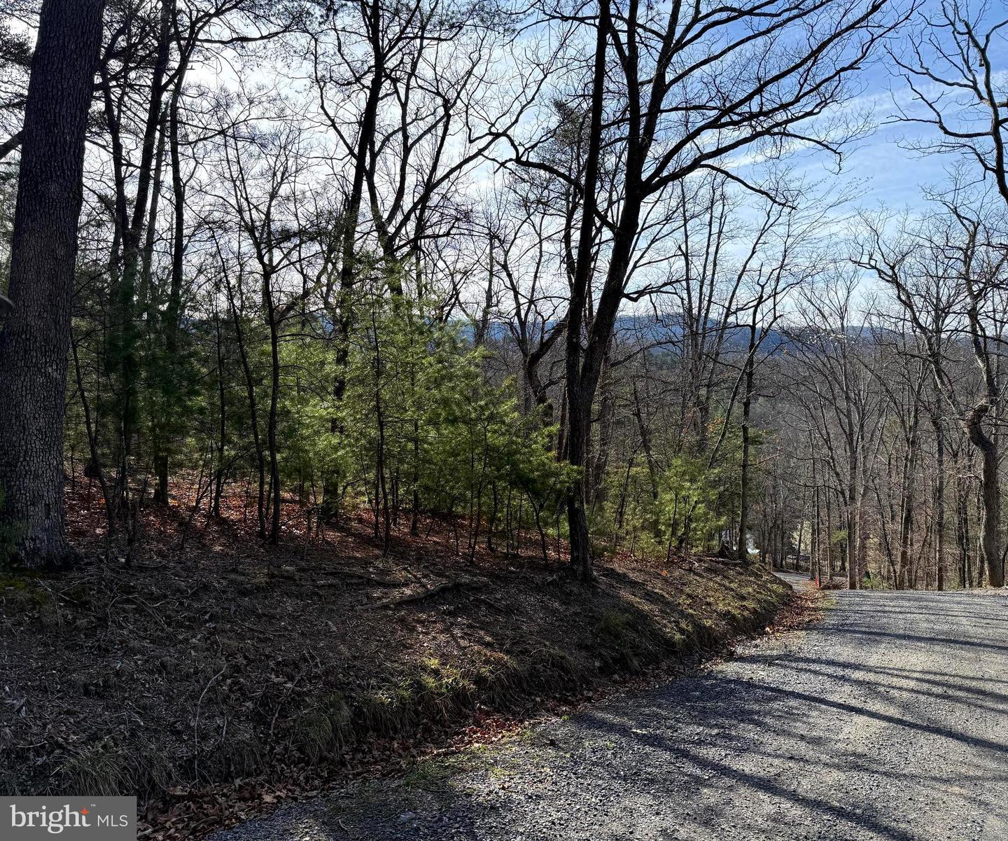 6 Ac Mountain Acres Loop Property Photo 3