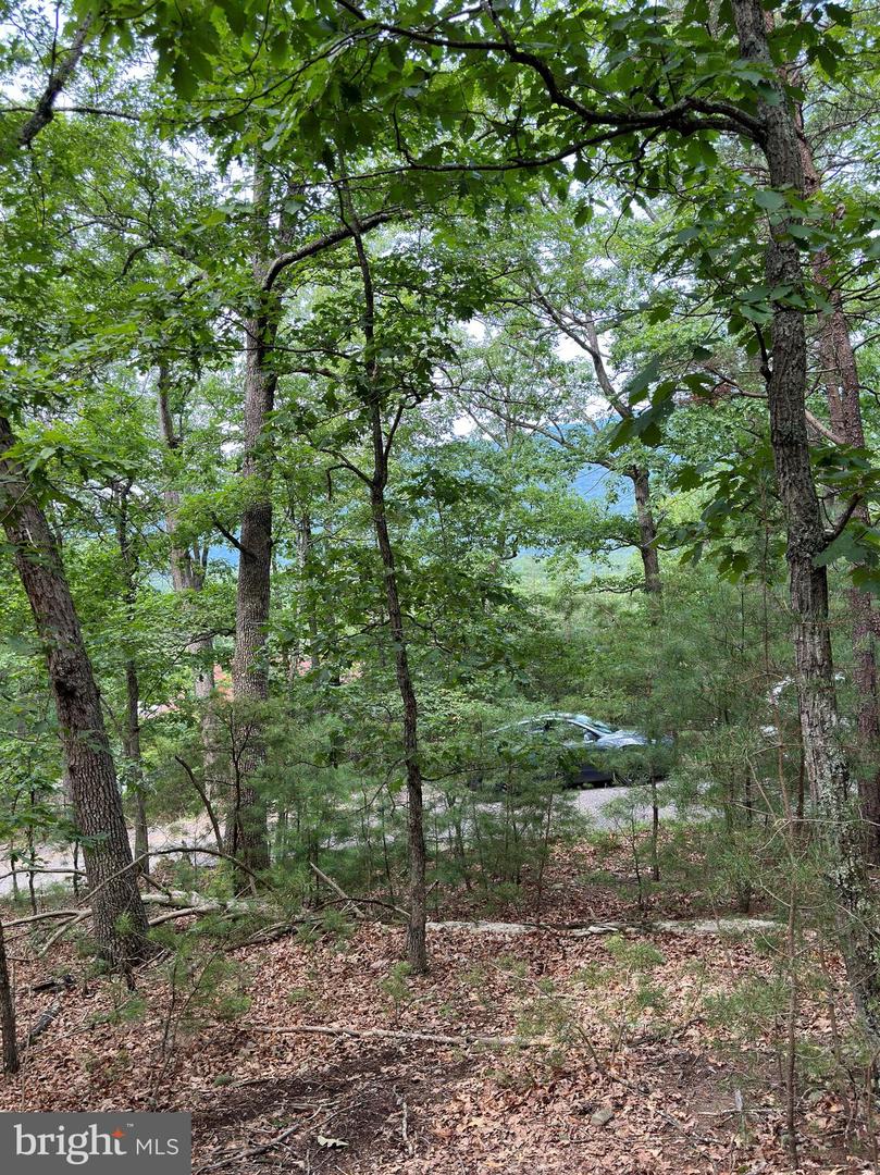 6 Ac Mountain Acres Loop Property Photo 4