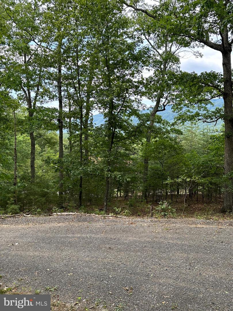 6 Ac Mountain Acres Loop Property Photo 5
