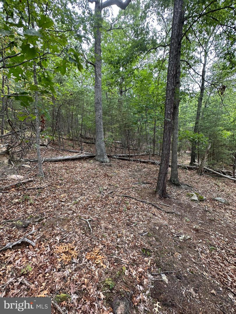 6 Ac Mountain Acres Loop Property Photo 6