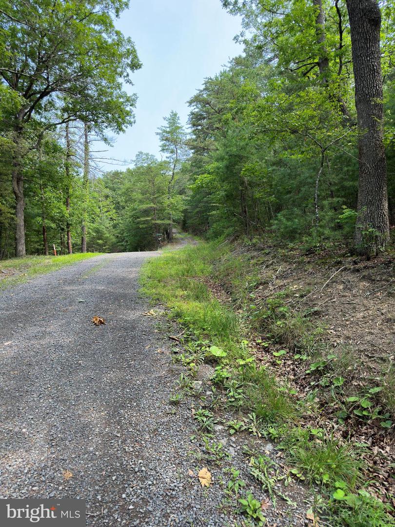 6 Ac Mountain Acres Loop Property Photo 7
