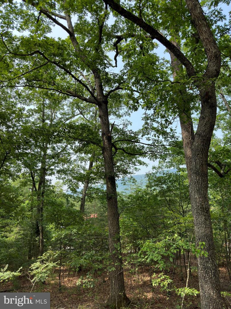 6 Ac Mountain Acres Loop Property Photo 9