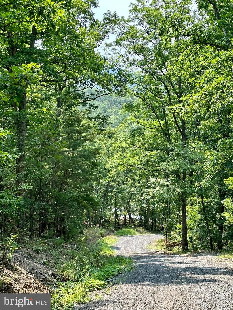 6 Ac Mountain Acres Loop Property Photo 10