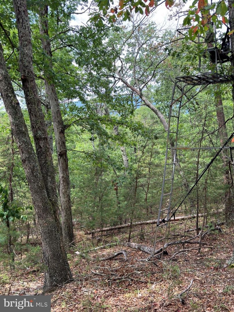 6 Ac Mountain Acres Loop Property Photo 12