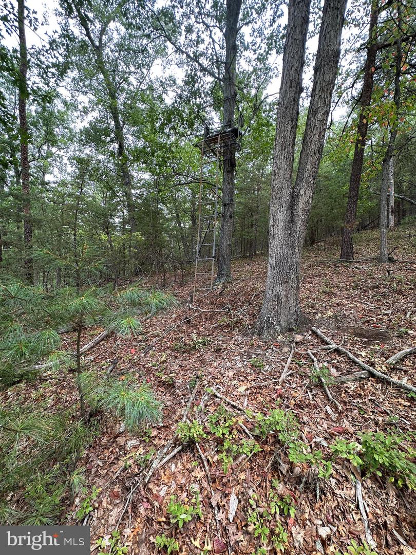 6 Ac Mountain Acres Loop Property Photo 13