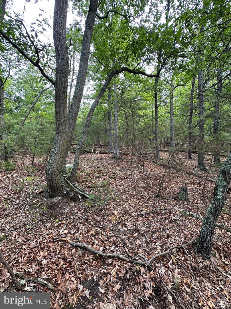 6 Ac Mountain Acres Loop Property Photo 15