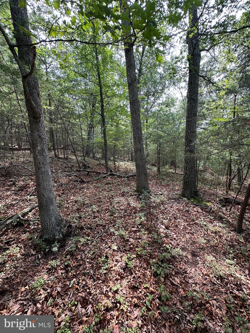 6 Ac Mountain Acres Loop Property Photo 16