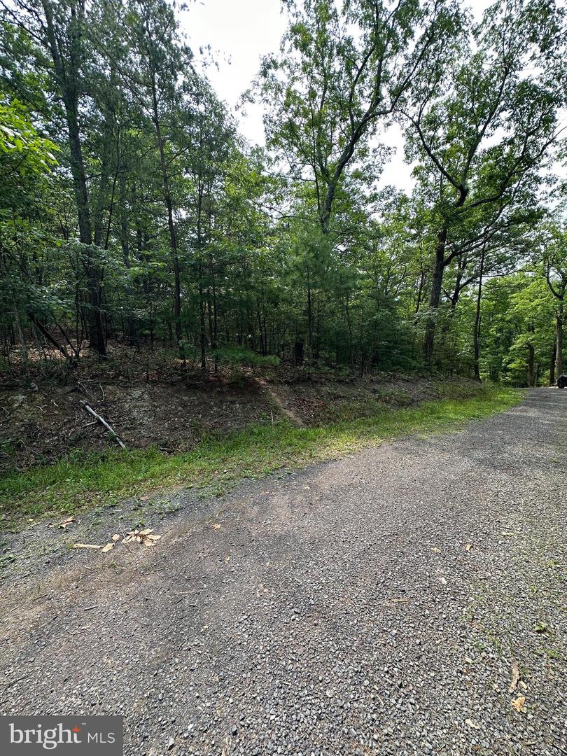 6 Ac Mountain Acres Loop Property Photo 17