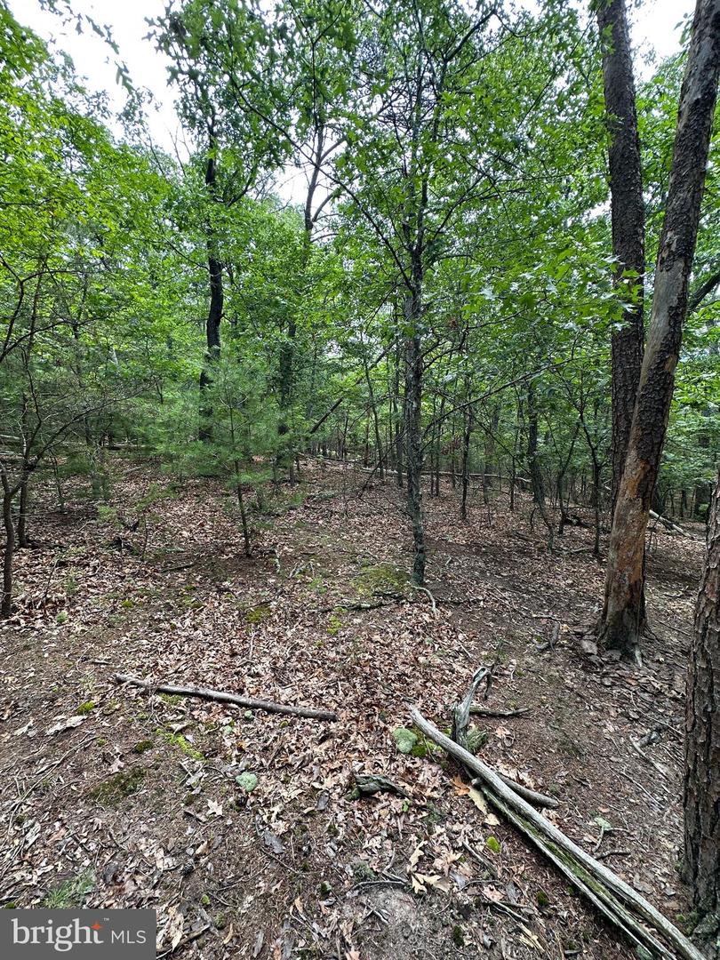 6 Ac Mountain Acres Loop Property Photo 18