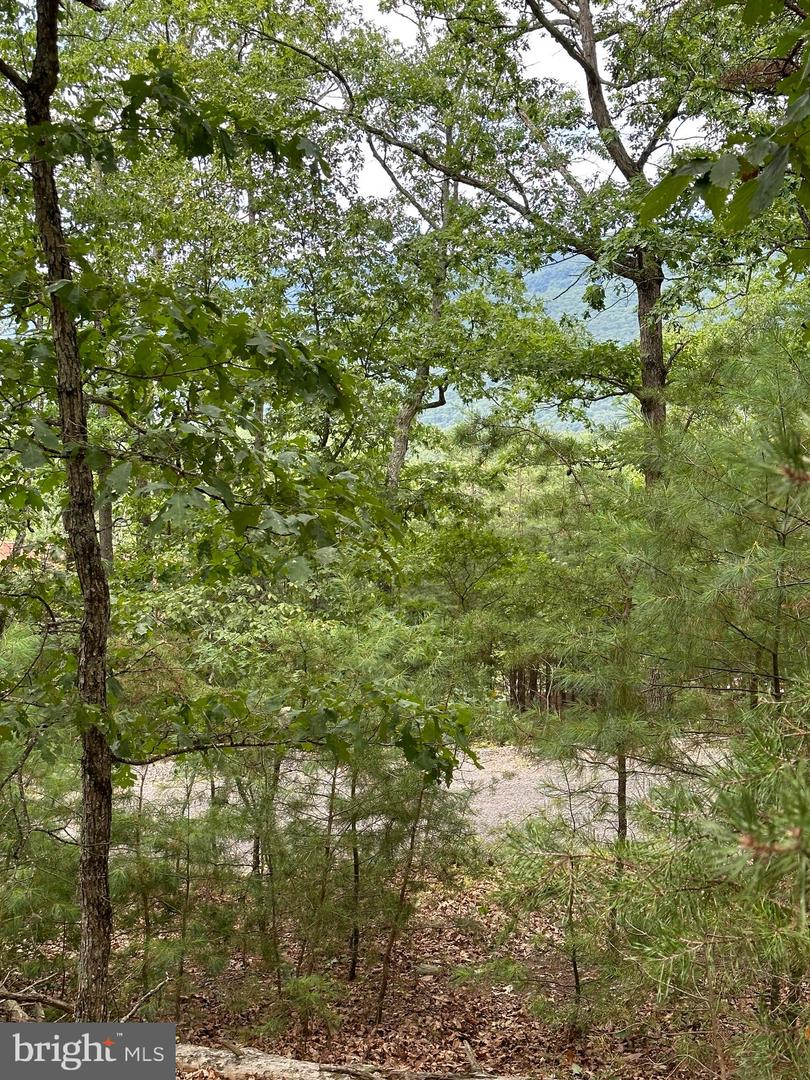 6 Ac Mountain Acres Loop Property Photo 19