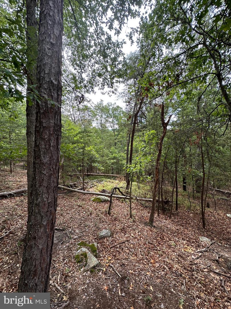 6 Ac Mountain Acres Loop Property Photo 20