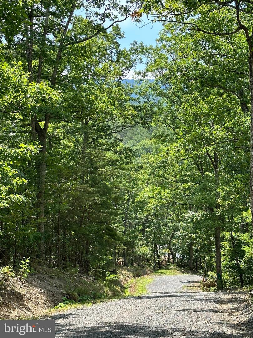6 Ac Mountain Acres Loop Property Photo 21