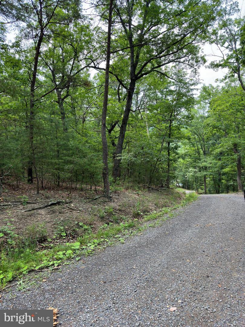 6 Ac Mountain Acres Loop Property Photo 22