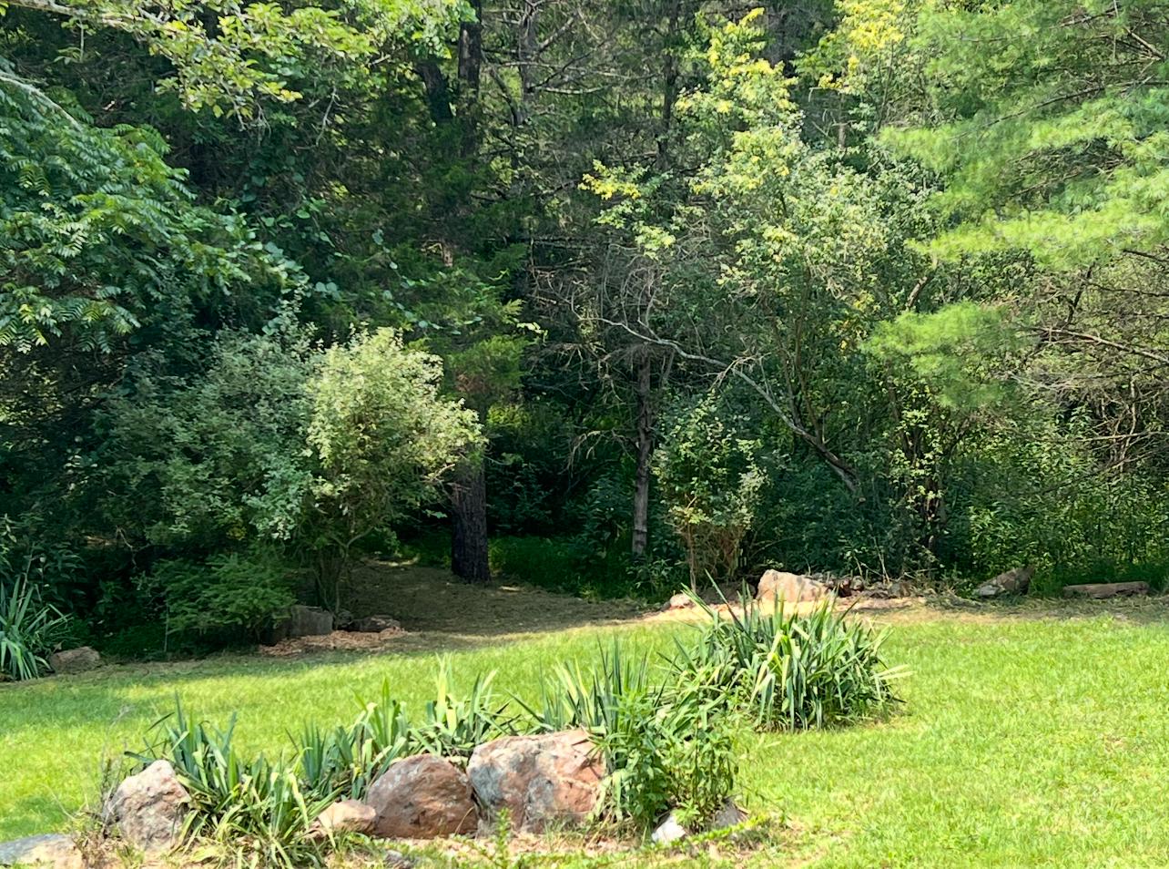 656 Wildlife Dr Property Photo 18