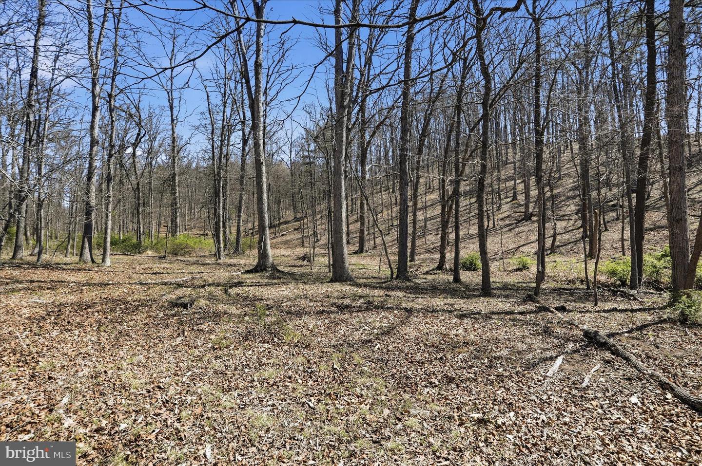 20.32 Ac Trough Rd Property Photo 1