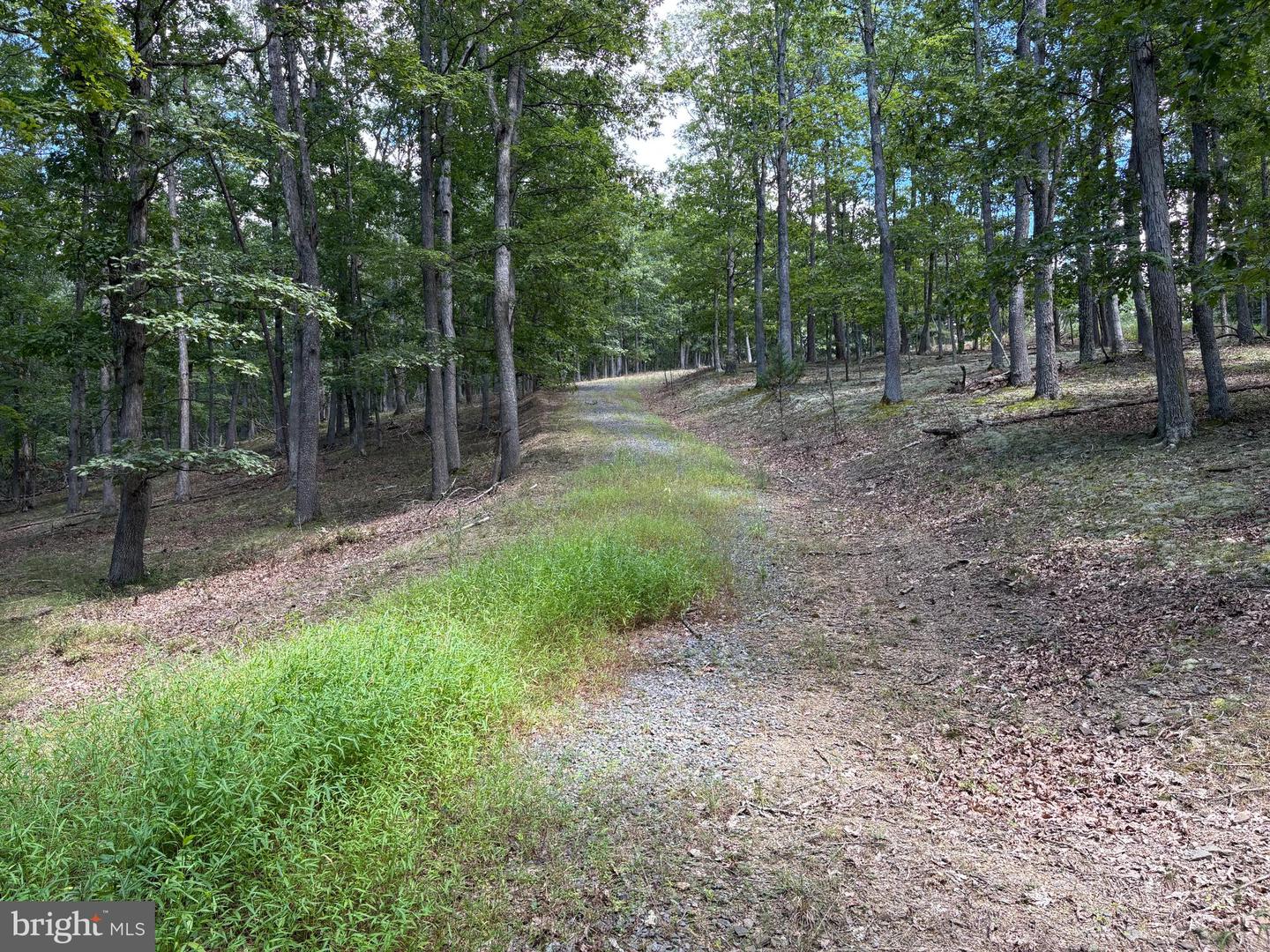 20.32 Ac Trough Rd Property Photo 2