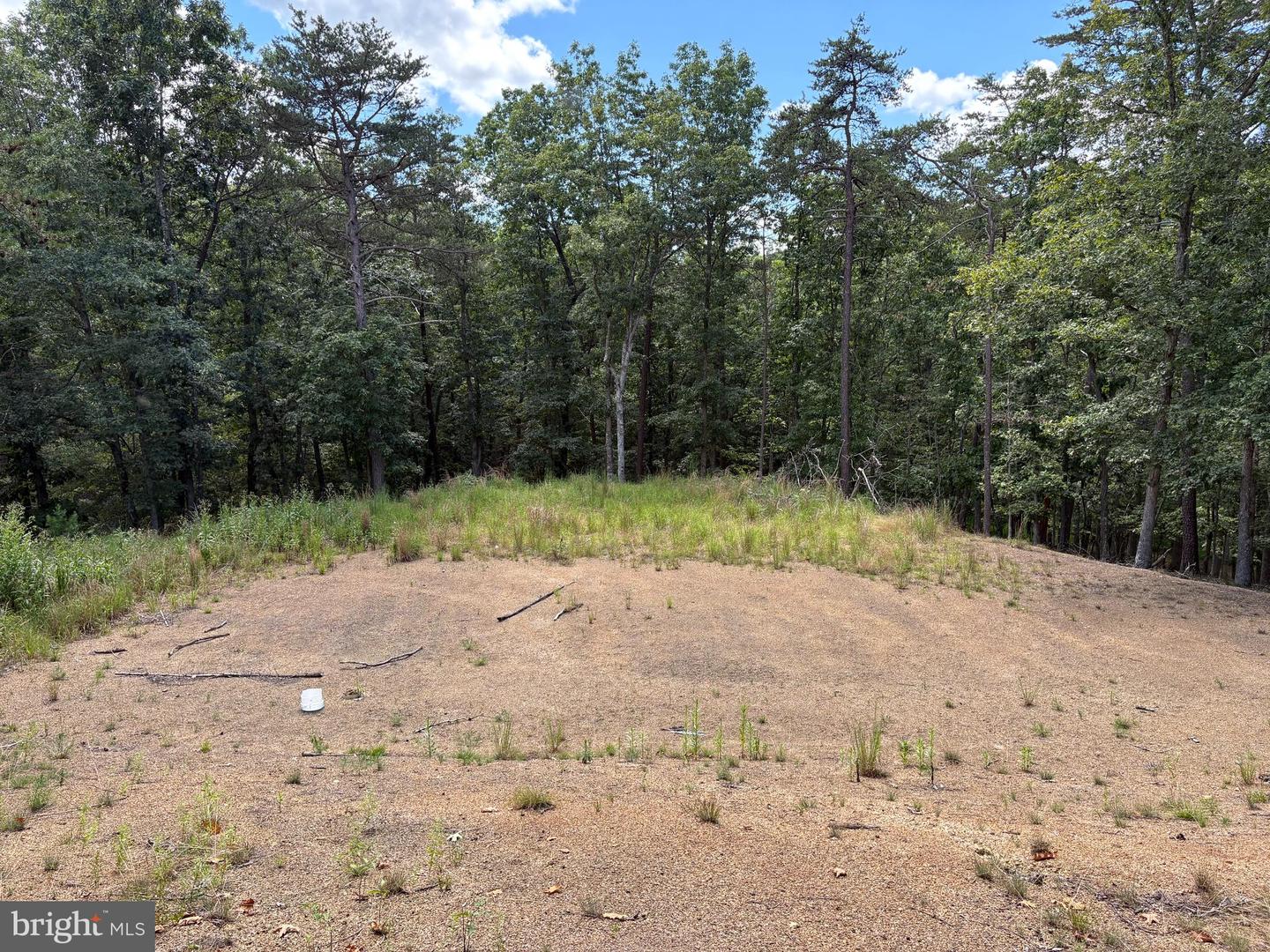 20.32 Ac Trough Rd Property Photo 3