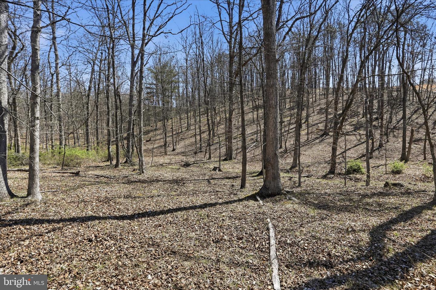 20.32 Ac Trough Rd Property Photo 5