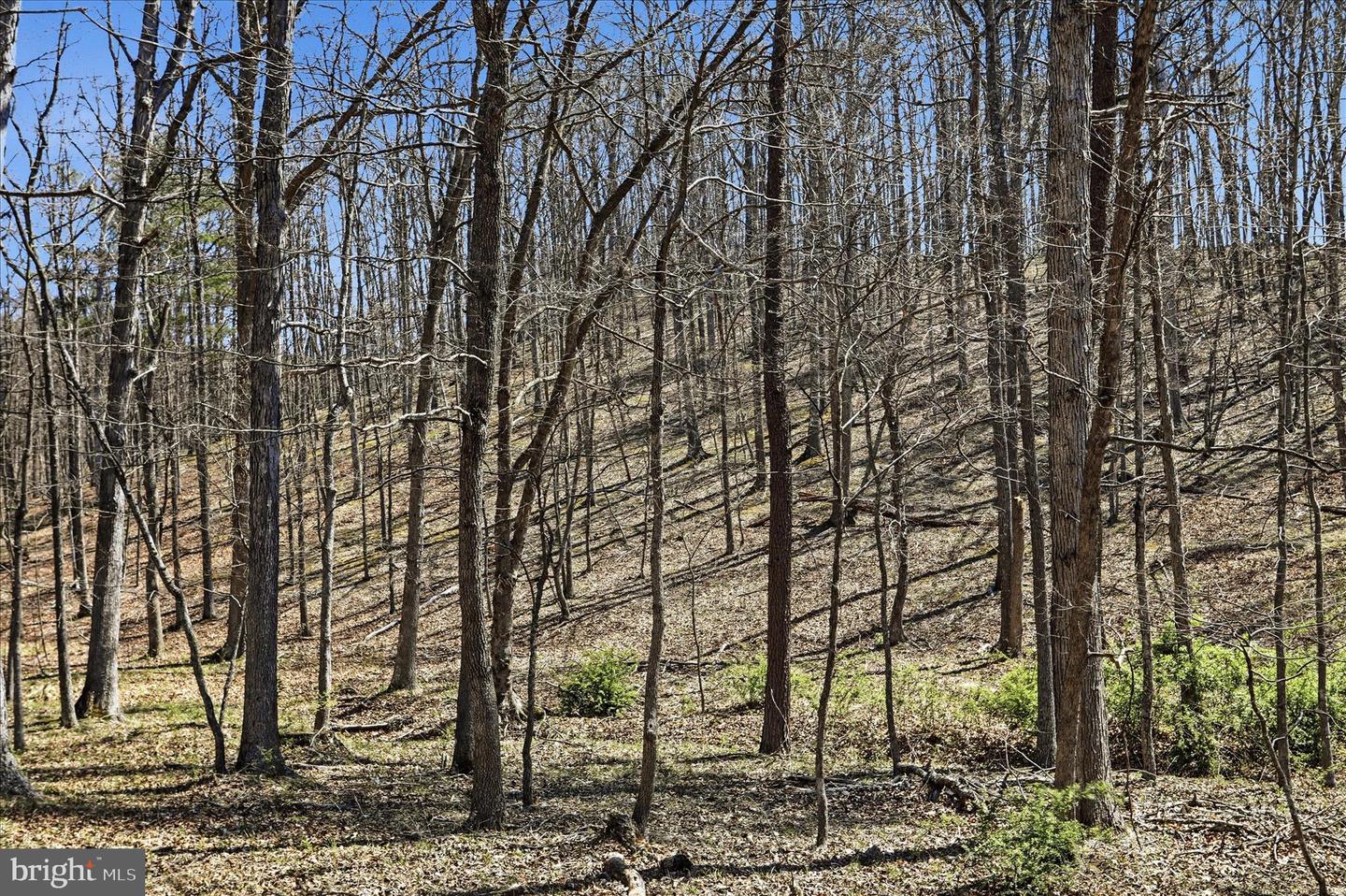 20.32 Ac Trough Rd Property Photo 6