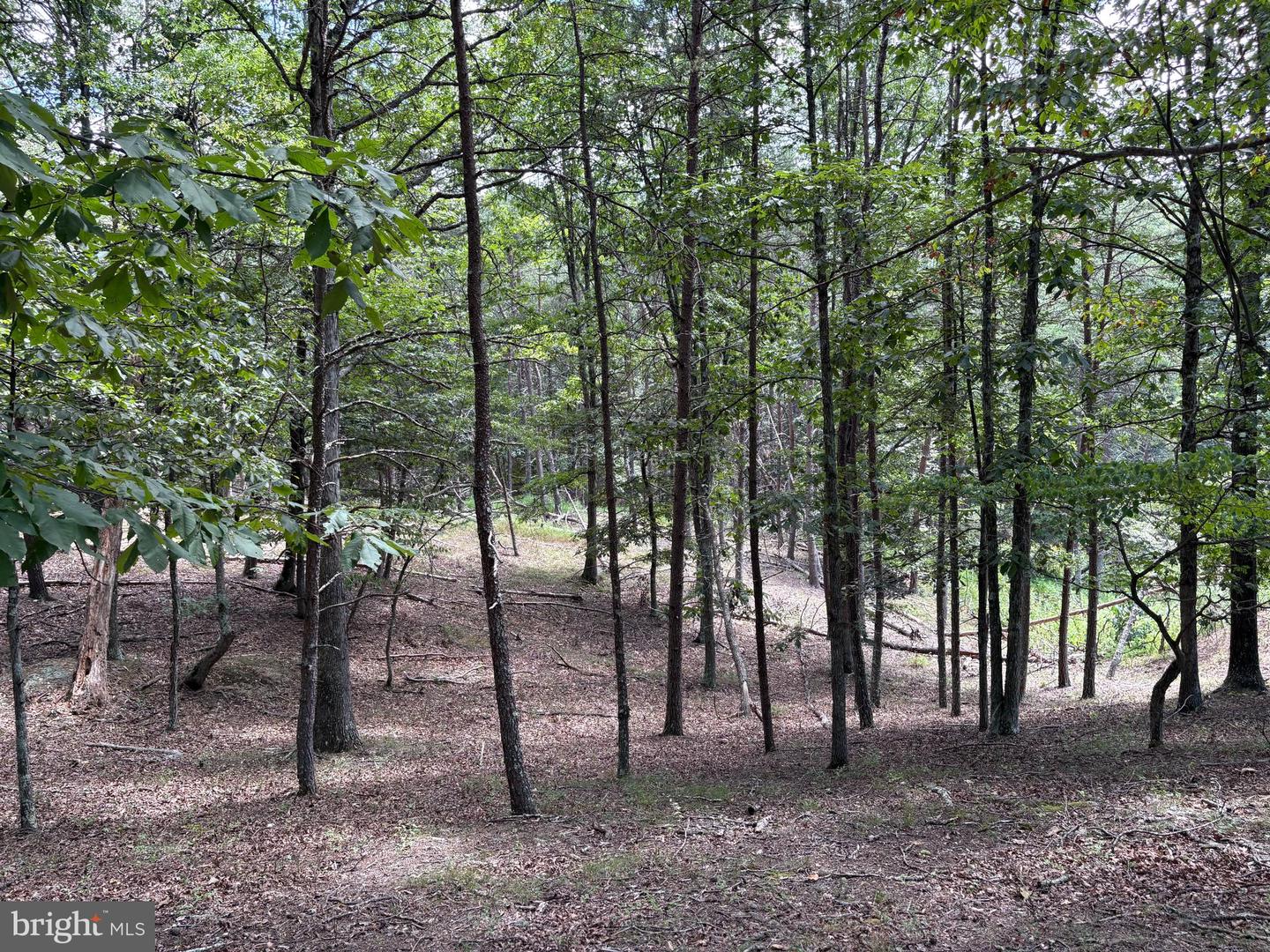 20.32 Ac Trough Rd Property Photo 10