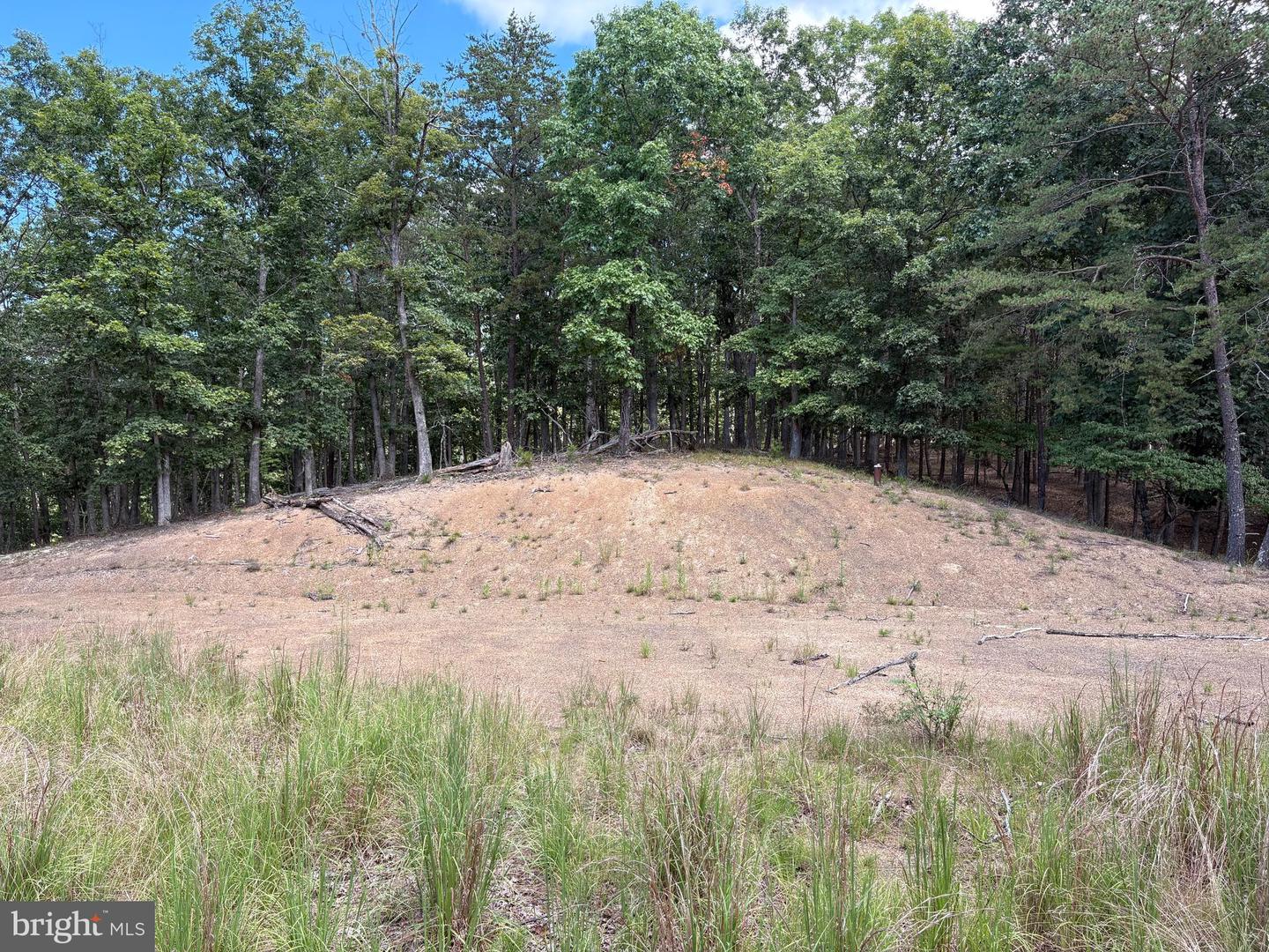20.32 Ac Trough Rd Property Photo 11