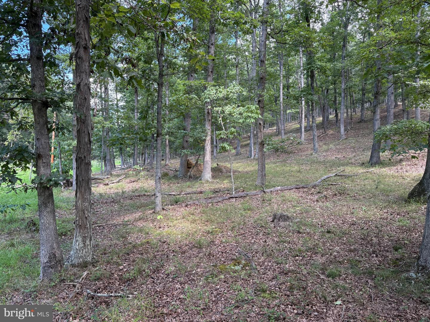 20.32 Ac Trough Rd Property Photo 12