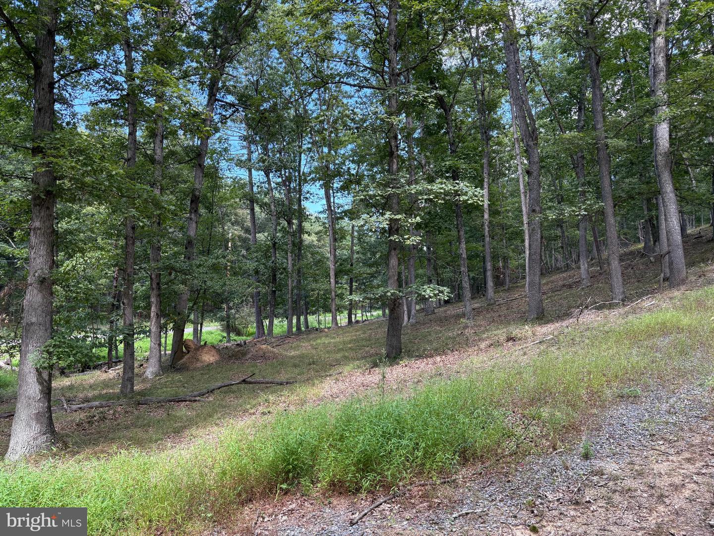 20.32 Ac Trough Rd Property Photo 14