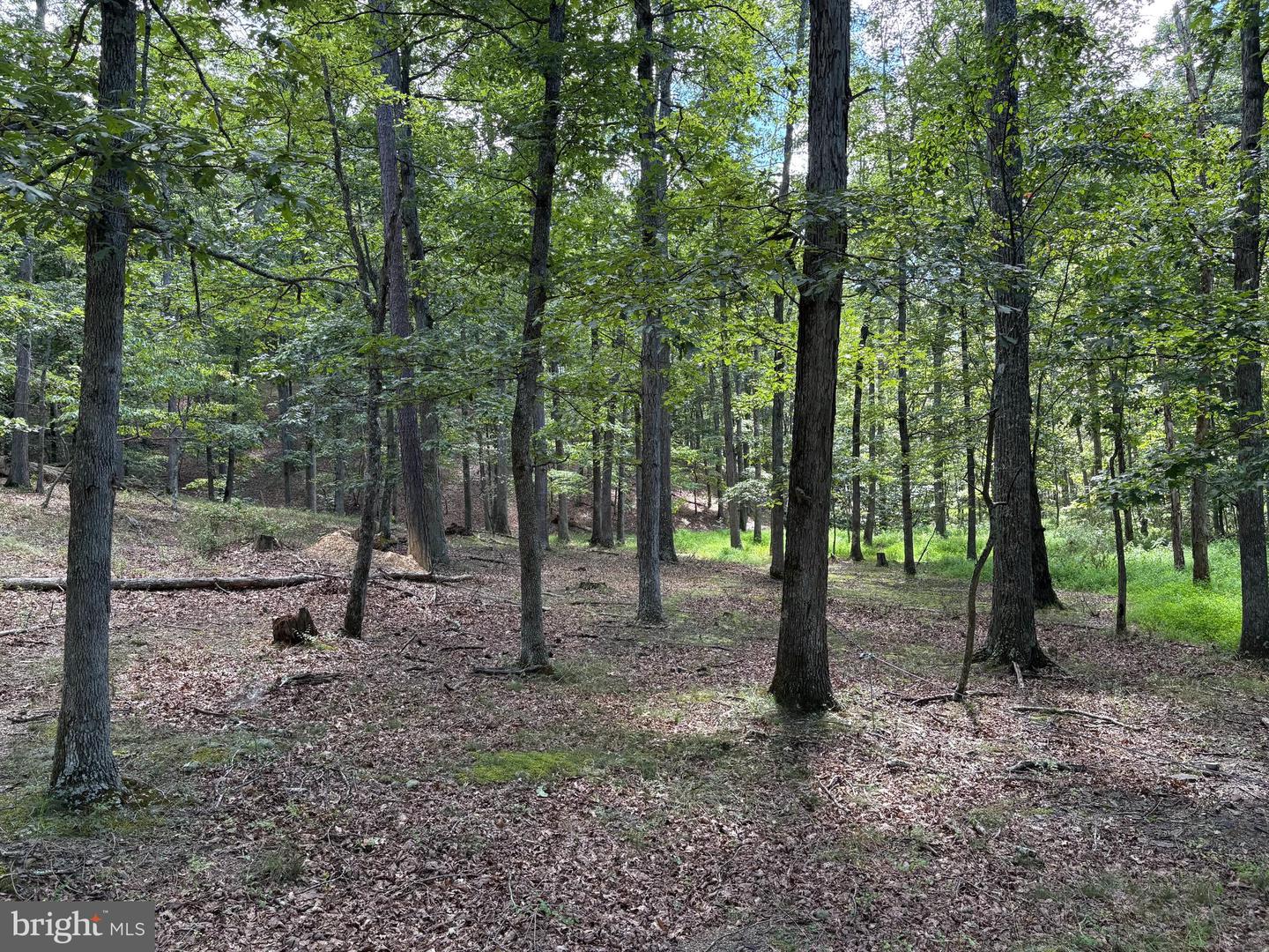 20.32 Ac Trough Rd Property Photo 16