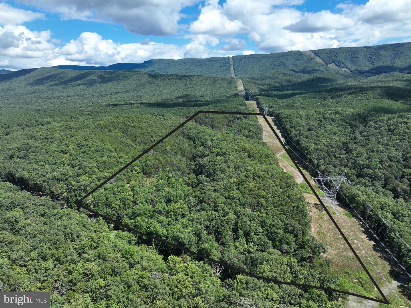 20.32 Ac Trough Rd Property Photo 20