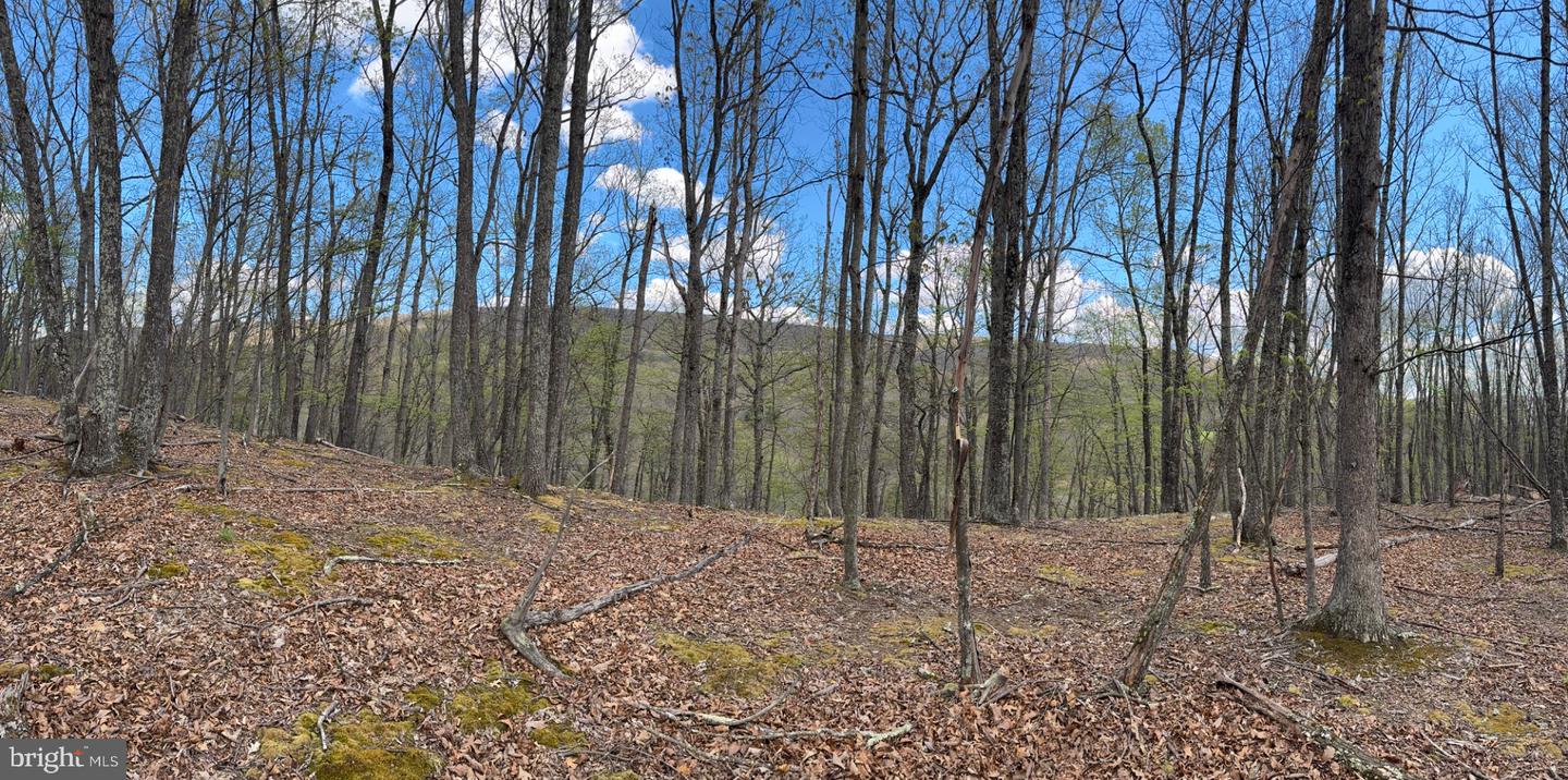 5 Cove Creek Property Photo 1