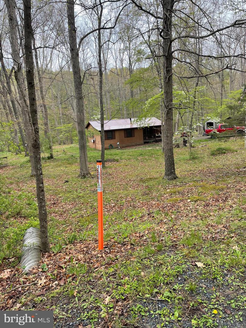 462 Trout Stream Rd Property Photo 1