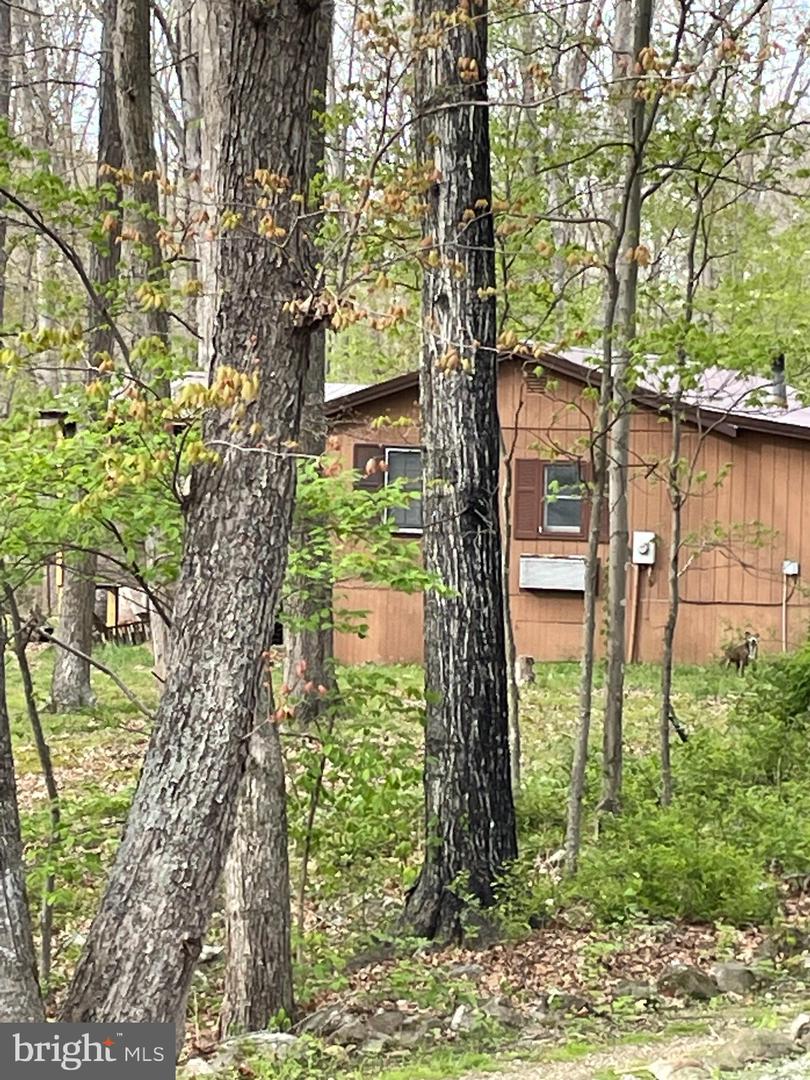 462 Trout Stream Rd Property Photo 3