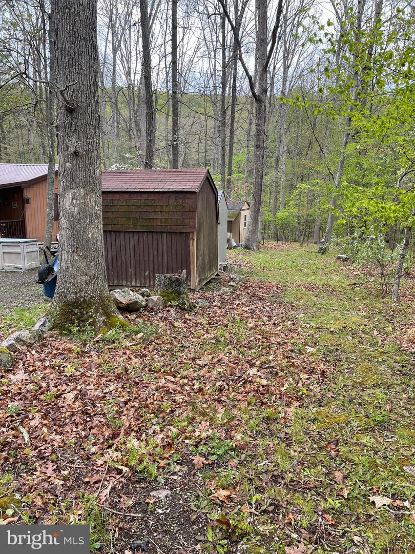 462 Trout Stream Rd Property Photo 5