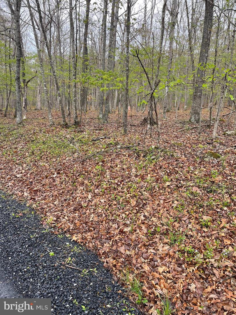 462 Trout Stream Rd Property Photo 7