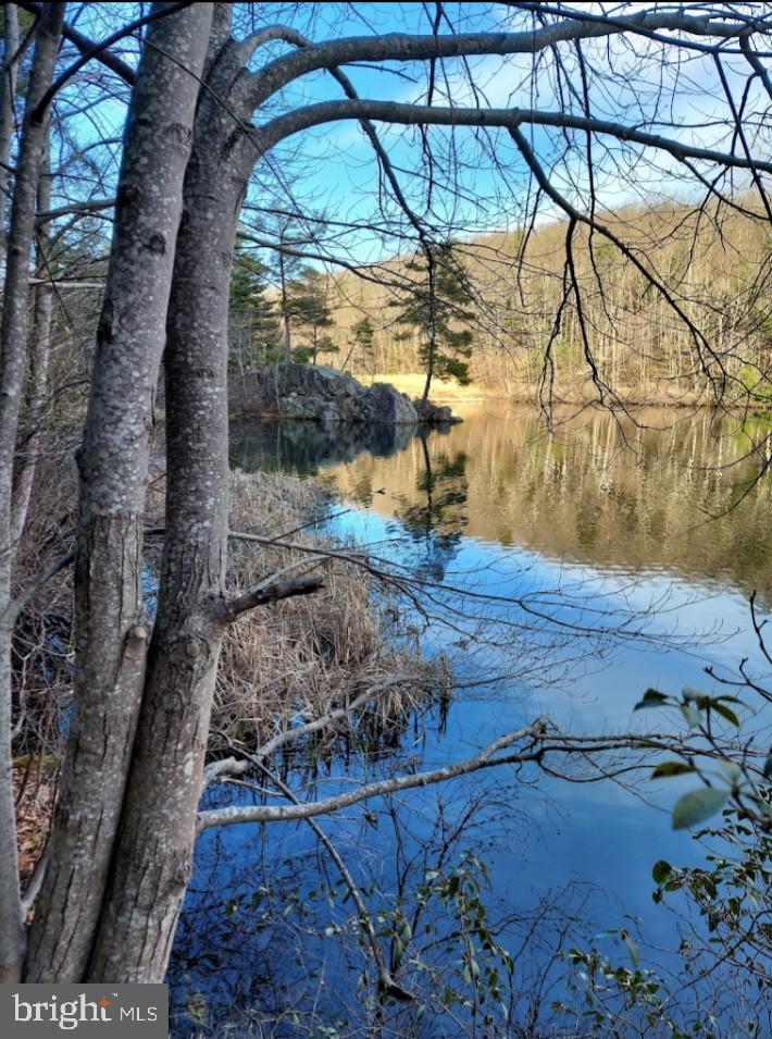 462 Trout Stream Rd Property Photo 16