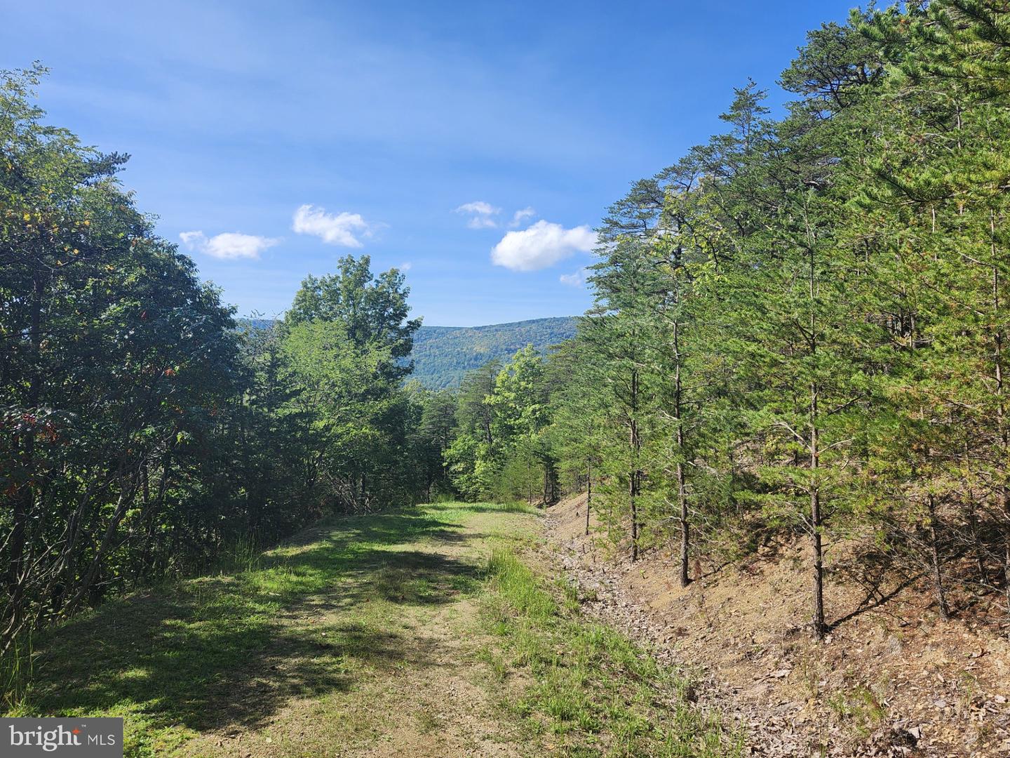 Grace Mountain Lane Property Photo 2
