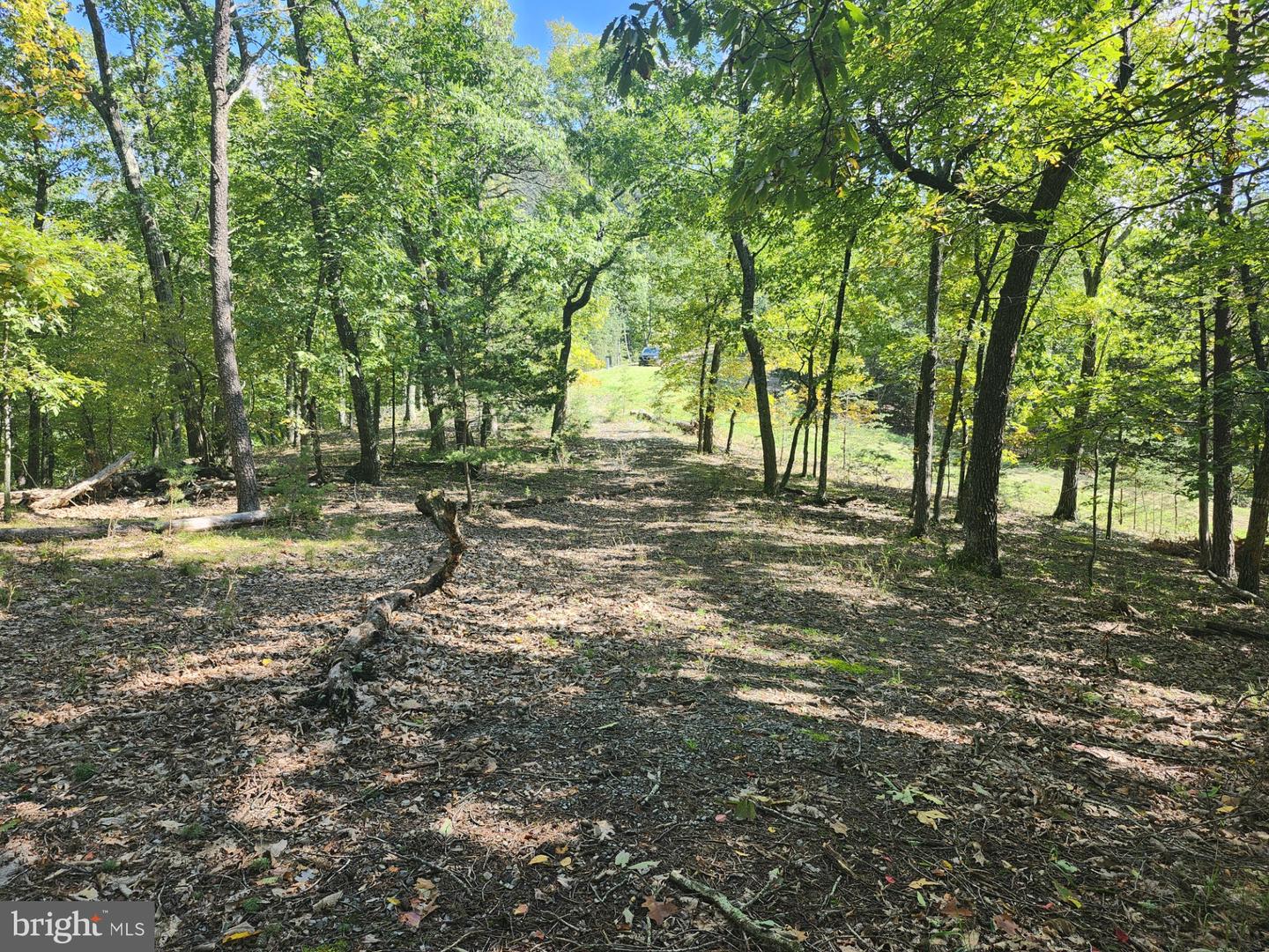 Grace Mountain Lane Property Photo 5